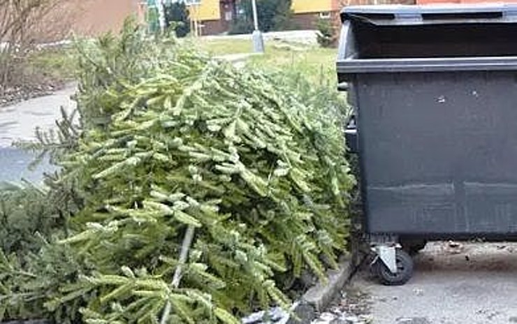 Kdy a kam odložit v Litvínově vánoční stromek? Město radí obyvatelům