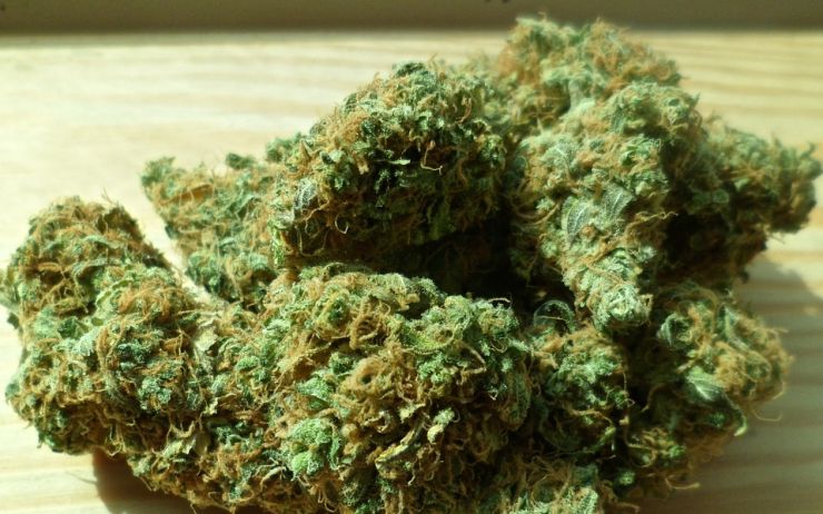 Muž prodával po Litvínově marihuanu. Policisté vědí o desítkách případů