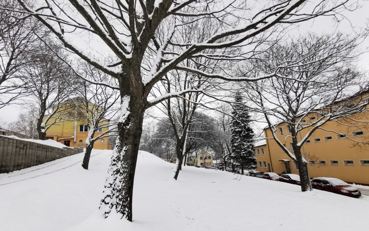 Česko zasypal další sníh! V Krušných horách připadlo až 15 centimetrů