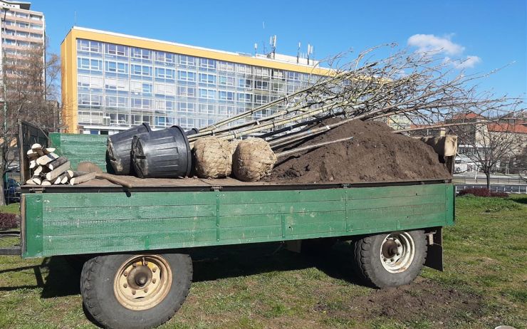 V centru mostu jsou nové okrasné stromy. Jinde zeleň lidé polámali