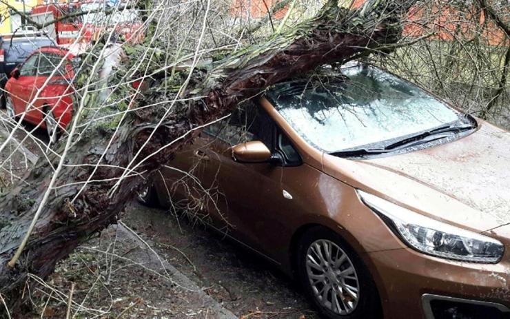 Hasiči likvidovali následky silného větru, v Litvínově spadla větev na zaparkované auto