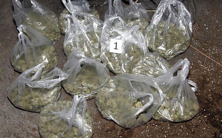 OBRAZEM: Policie zabavila v domě na Mostecku marihuanu za půl milionu! Pěstitele obvinila ze zločinu