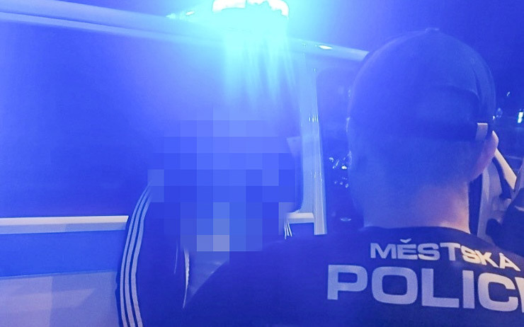 Strážníci zajistili v nočních hodinách tři muže hledané Policií ČR. Jeden na sebe upozornil útěkem, další přehrabáváním odpadu