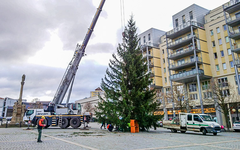 FOTO DNE: Na mosteckém 1. náměstí už stojí vánoční strom. Přijel z Krušných hor