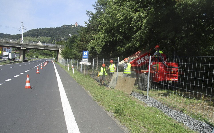 Na silnici z Mostu do Bíliny postavili 14 kilometrů pletiva. Pod rychle jedoucí auta by neměla tolik skákat zvěř