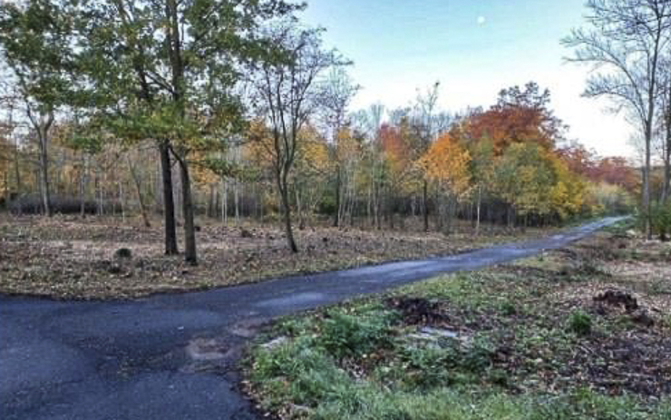 Hrabák prokoukl, vypadá příjemněji a prosvětlený park je i bezpečnější