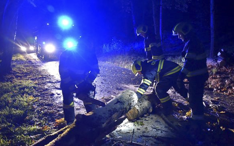 Nad Česko dorazil silný vítr. Může kácet stromy a poničit budovy