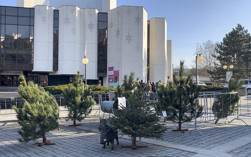 Zdá se, že letošní Vánoce budou na blátě, ale současně bílé a mrazivé