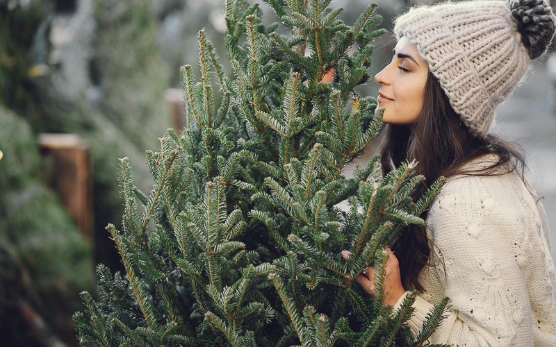 Mýty o vánočních tradicích: Kde se vzaly naše typické české Vánoce?