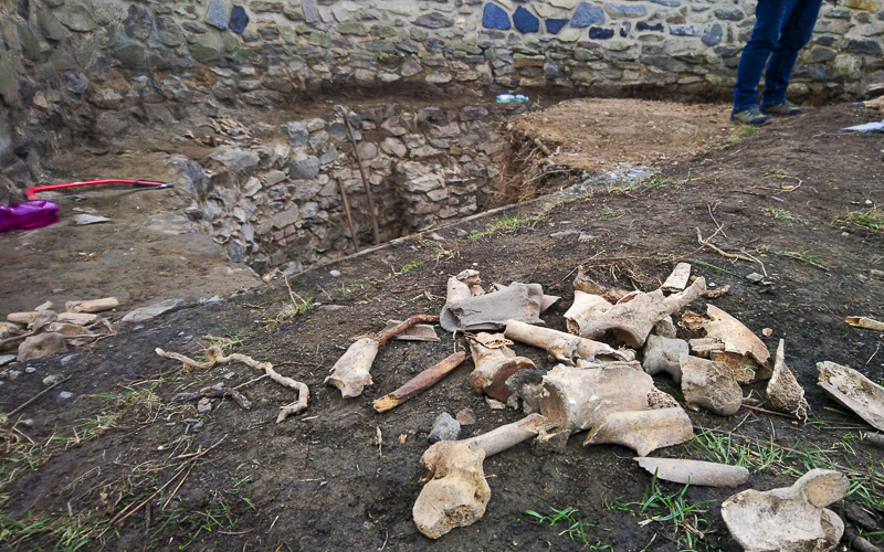 OBRAZEM: Zajímavé nálezy na Hněvíně! Tohle našli při opravách zdí