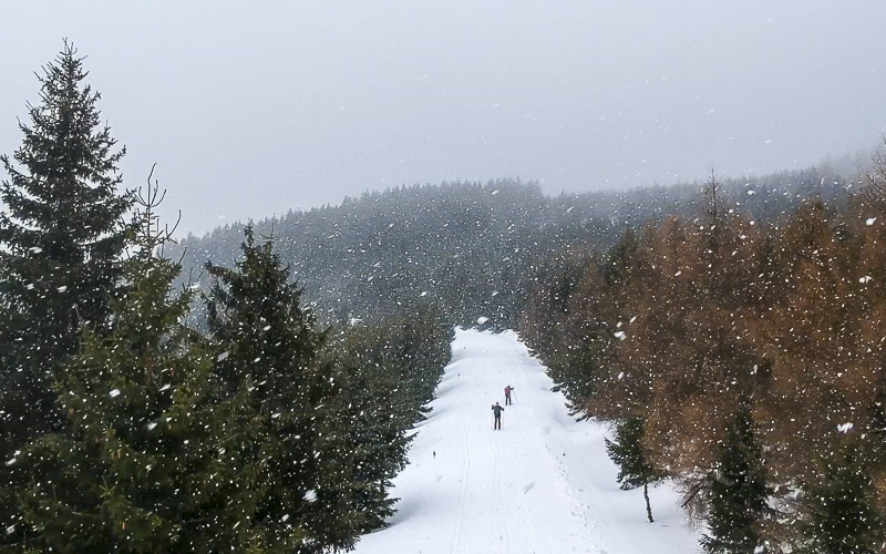 VIDEOREPORTÁŽ: Na horách zima neskončila. Na Krušnohorské lyžařské magistrále stále můžete běžkovat