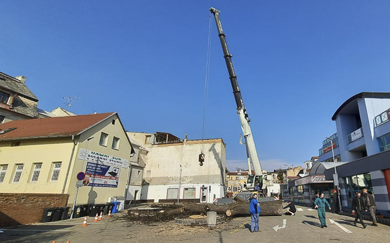 FOTO OD VÁS: V litvínovské Fajli už není velký strom u parkoviště