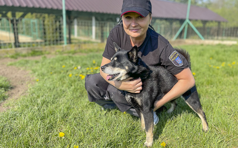 VIDEO: Útulek v Rudolicích už patří pod městskou policii a má nové zaměstnance