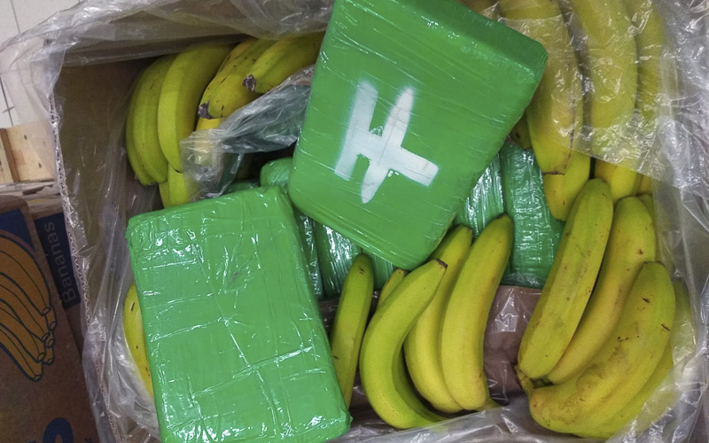 V českých supermarketech našli v krabicích od banánů kokain za dvě miliardy! Hledají se další balíčky