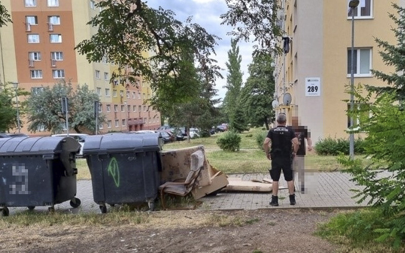 S tímhle nepočítali! Lidé dávali k popelnicím objemný odpad, teď jim hrozí pokuta 20 tisíc