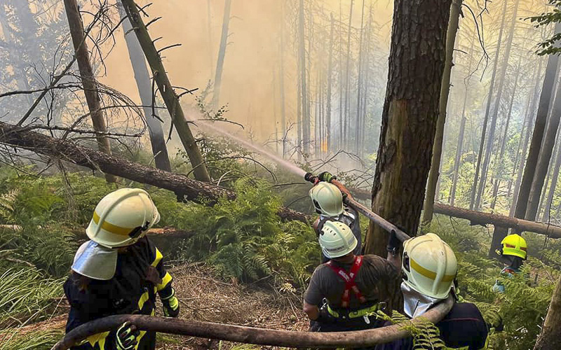 Krajina je k požárům náchylnější, než bývala, hodnotí expert z univerzity