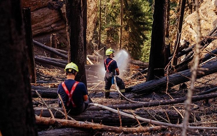 Hasičům ve Hřensku se daří likvidovat ohniska požáru, návrat obyvatel do evakuovaných obcí ale zatím není možný