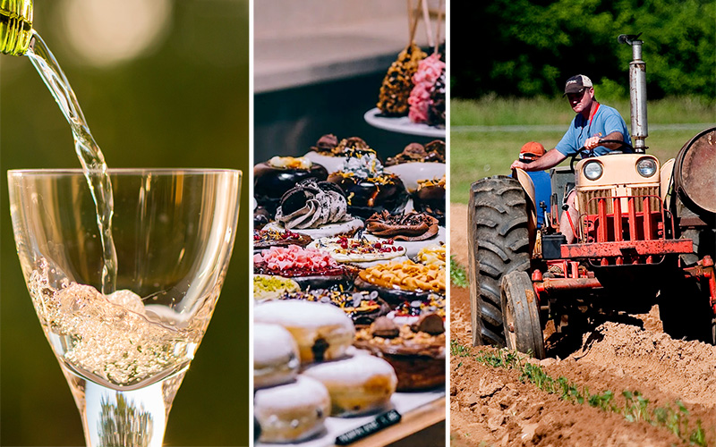 15 akcí na víkend: Sladký festival, vinobraní či traktoriáda! Kam vyrazíte?