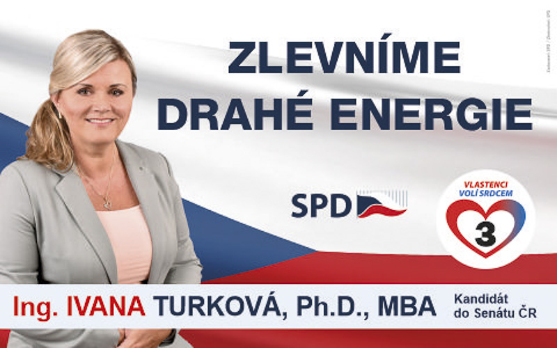 ROZHOVOR: Jak se poprat s energetickou krizí? SPD vyslalo do senátních voleb ekonomickou odbornici Ivanu Turkovou