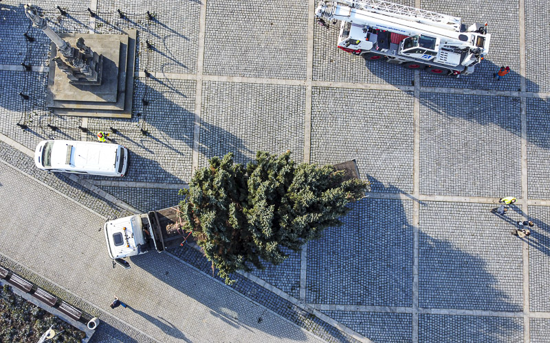 VIDEO: Taková byla cesta vánočního stromu na náměstí. Darovali ho manželé ze Vtelna