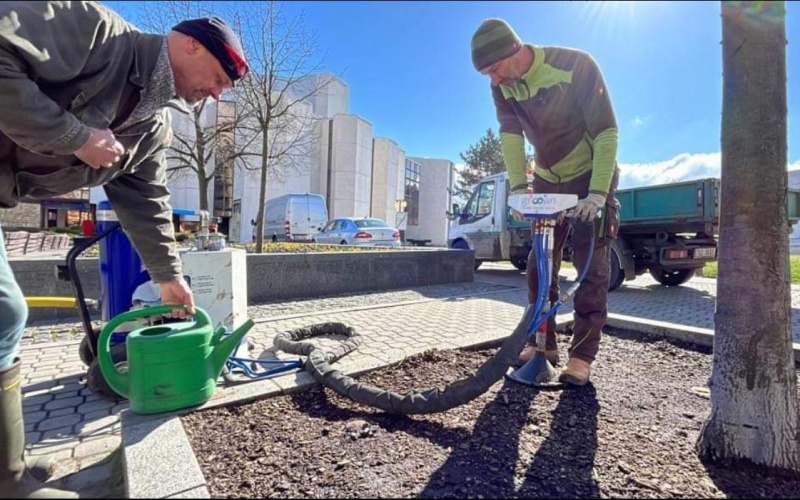 Speciální injekce pro stromy zajistí jejich lepší výživu