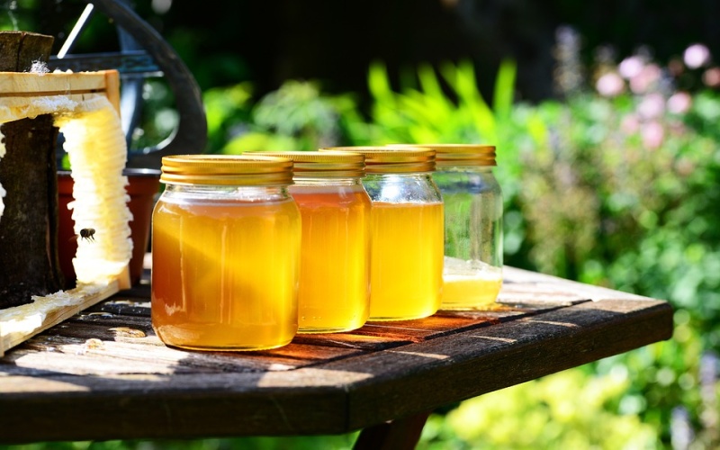 Školáci už ví, kolik medu za svůj život vyrobí jedna včelka
