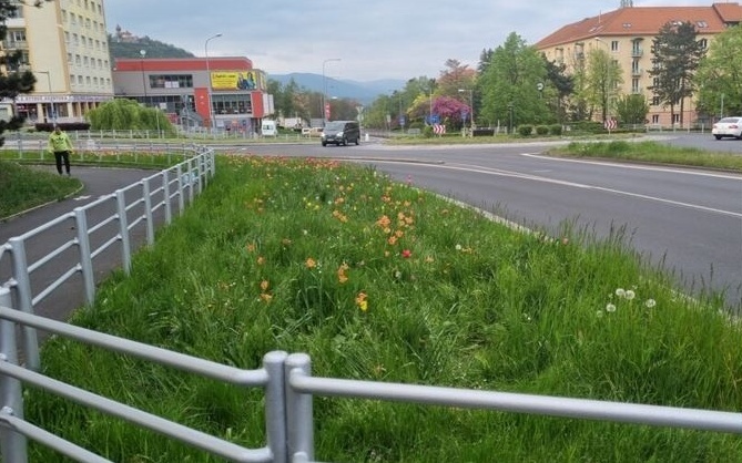 Chtěl ušetřit za tulipány, nakonec neměl ani kytky, ani peníze