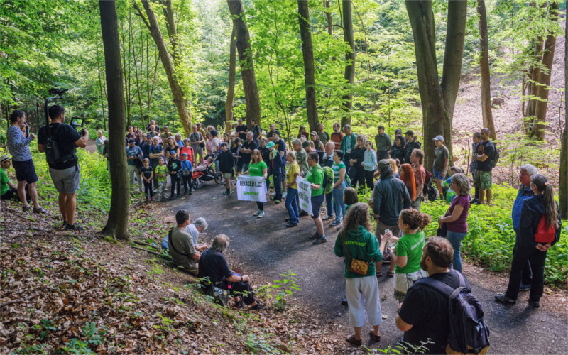 Desítky lidí se prošly starým lesem u Litvínova, kterému hrozí kácení. Chtějí chránit lesy v Krušných horách
