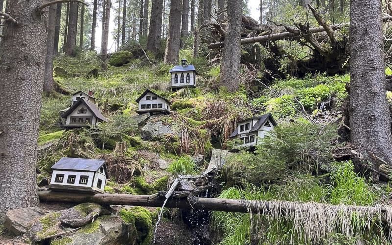TIP NA VÝLET: Minidomečky v lese, úchvatné vyhlídky! Objevte tajemné údolí v Krušných horách
