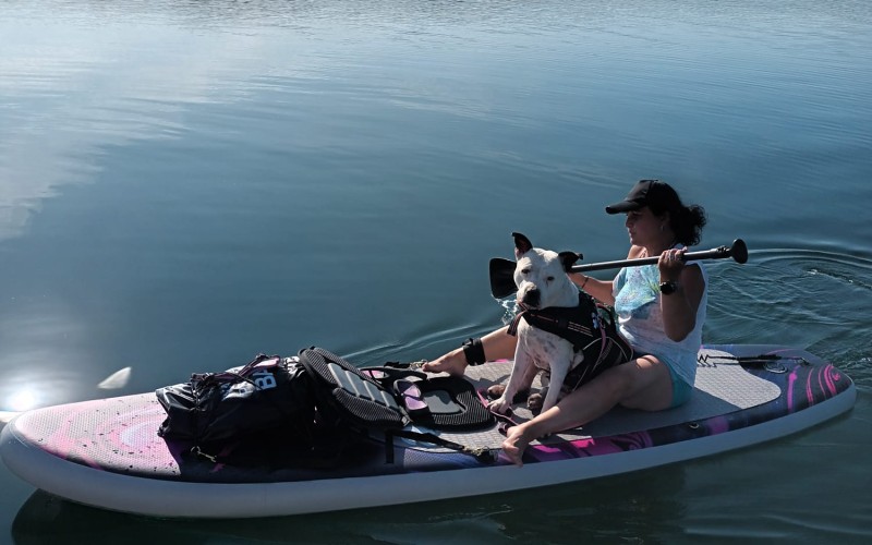 FOTO OD VÁS: Mostecké jezero je rájem i pro pejskaře. Vyrážejí s nimi i na hladinu