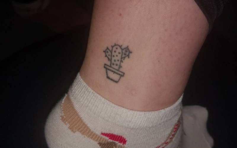 erasmus tetování kaktus