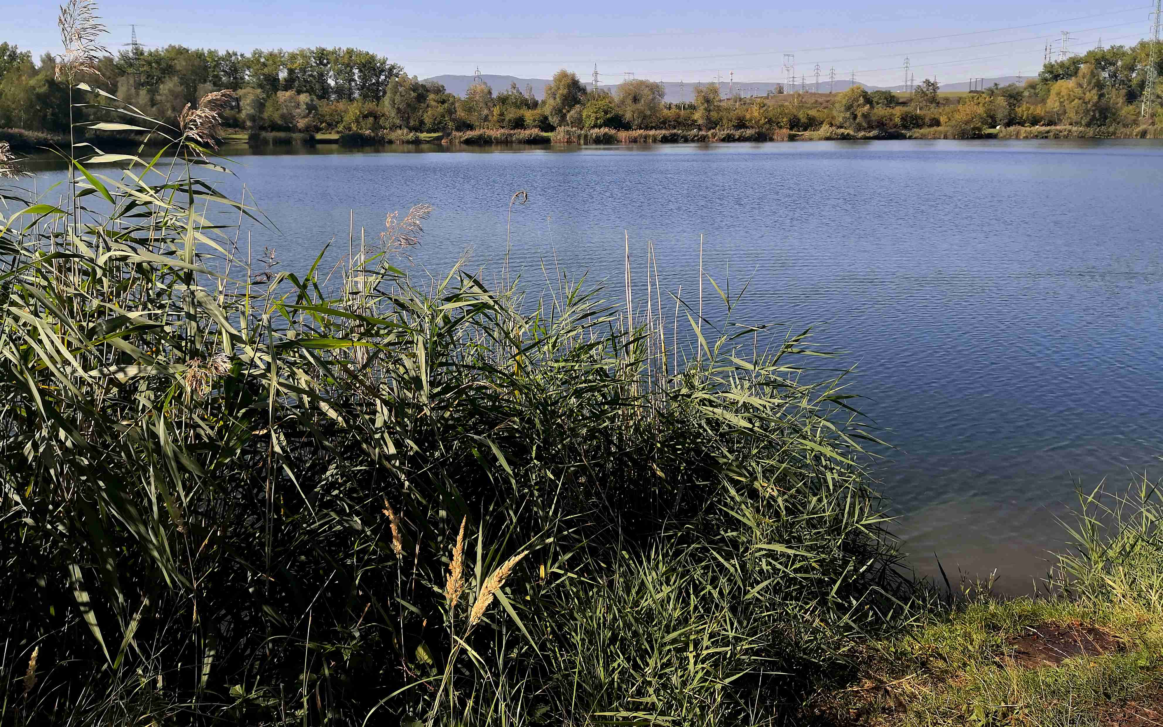 Chcete naučit potomka rybařit? Pošlete ho do Světce