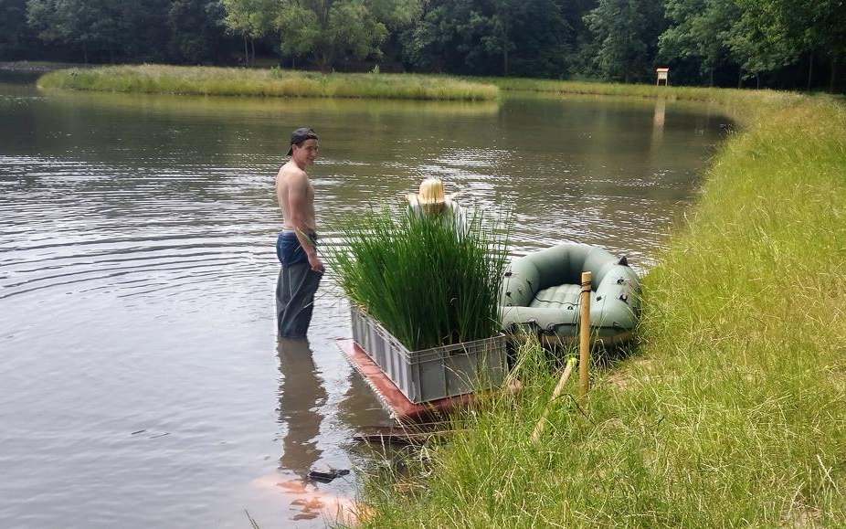 Vodní rostliny pročistí vodu a zlepší vzhled Proboštovského rybníka