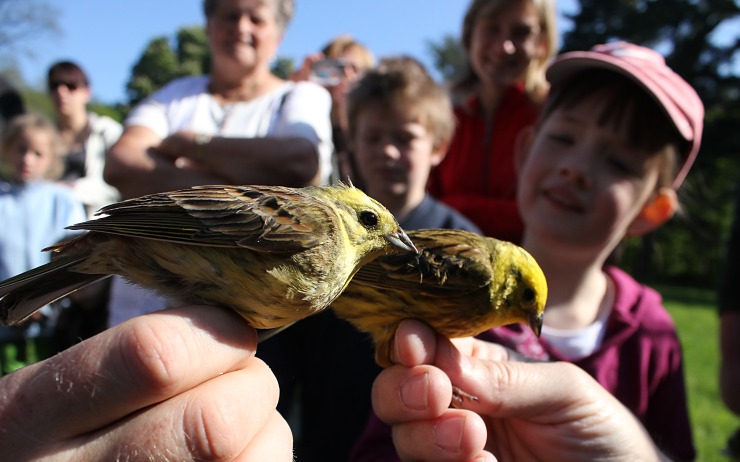 V Duchcově se můžete zúčastnit vítání ptačího zpěvu. Foto: www.e-teplicko.cz