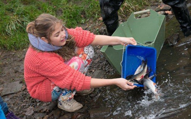 Vysazování ryb do řeky Bíliny. Foto: Unipetrol Vysazování ryb do řeky Bíliny. Foto: Unipetrol