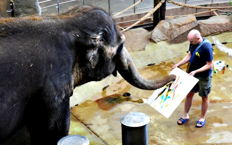 Malířka Delhi. Zdroj: Zoo Ústí nad Labem