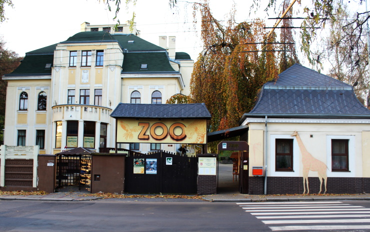 0511zoo podzim