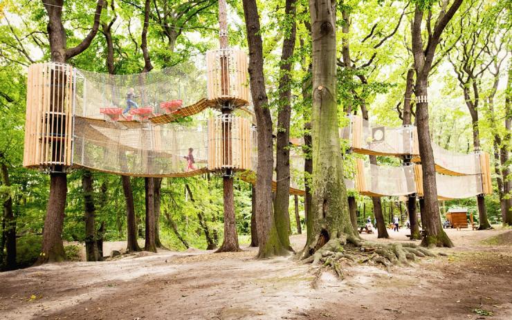 Osecké bludiště v korunách stromů dostalo ocenění v anketě Dřevěná stavba roku