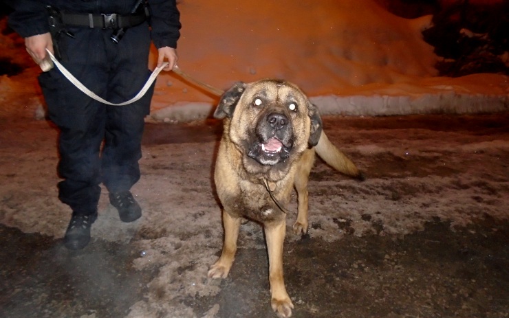 Policisté vypátrali muže, který v únoru hrozil bombou v restauraci Perla