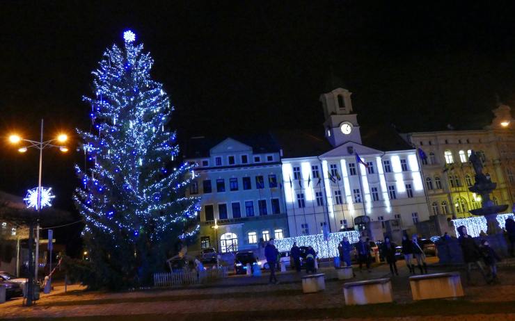 Potřebujete pokácet hezký jehličnan? Může ozdobit Teplice na vánoční svátky