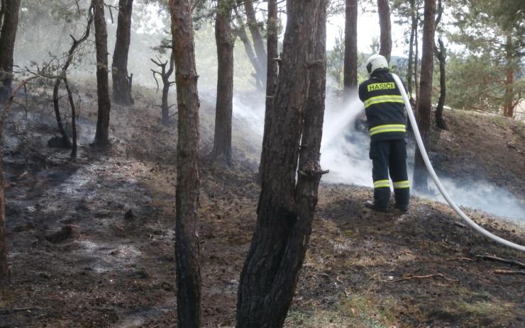 Na Stropníku u Oseka hořelo, hasiči museli zdolávat náročný terén