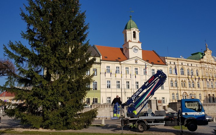 Na teplickém náměstí je už vánoční strom! Jak se vám líbí?