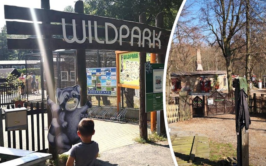 Oblíbená obora ve Mstišově má více připomínat německý Wildpark, nyní je podle starosty Dubí katastrofální