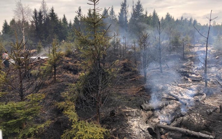V Krušných horách chytil les, českým hasičům pomohly i dvě jednotky z Německa