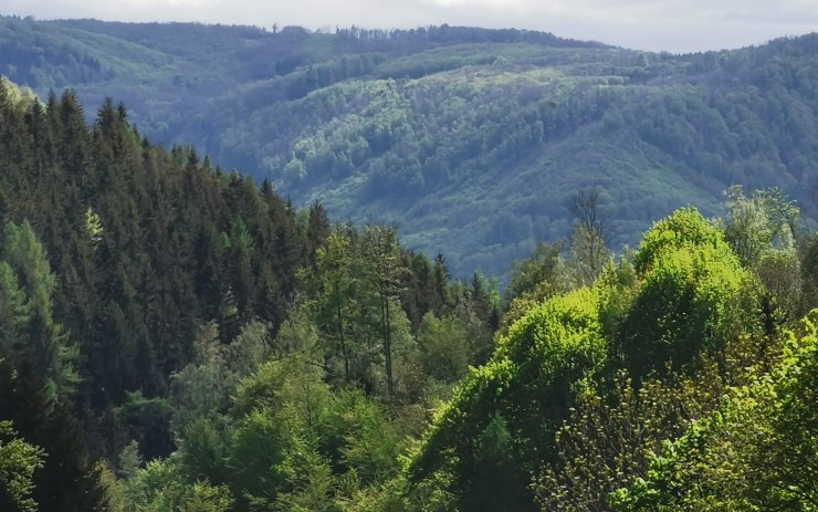 S víkendem dorazí oteplení, rtuť vystoupá až ke dvacítce