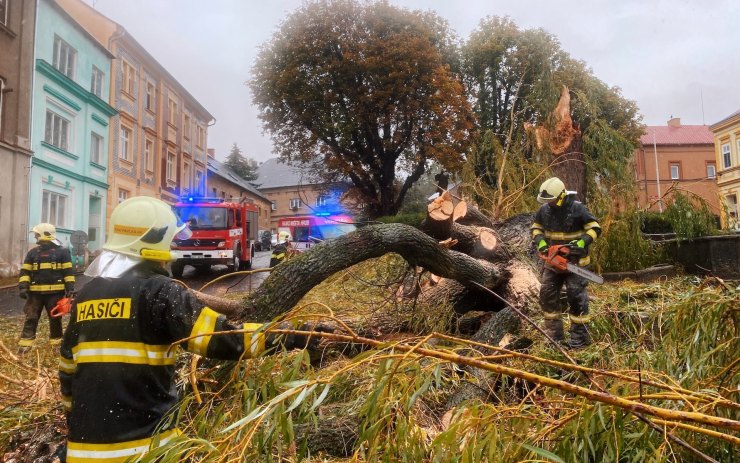 V Hrobu se zřítila mohutná vrba na náměstí naproti kostelu