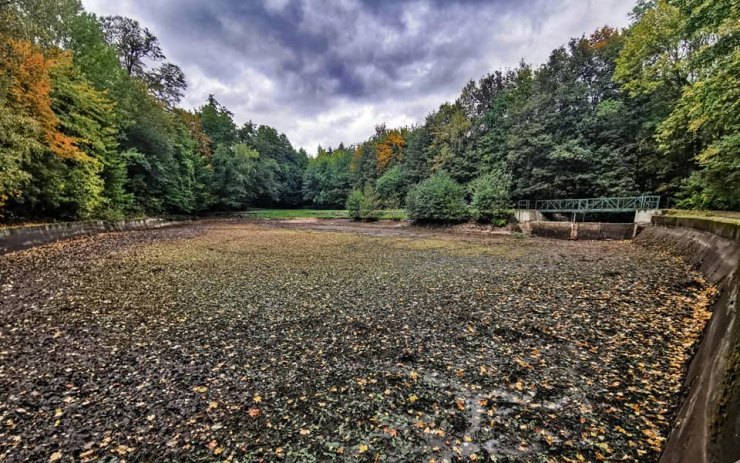Hamerský rybník je bez vody a přitahuje fotografy