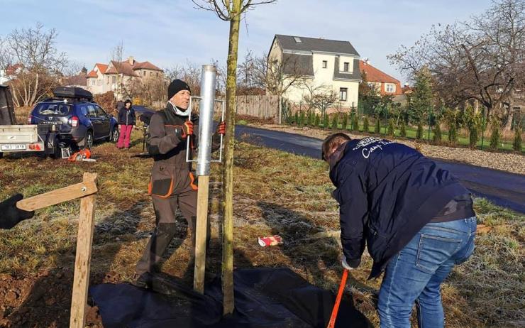 FOTO: V Novosedlicích je vysazených 16 stromů s pamětními cedulkami 