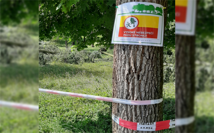 Pozor při návštěvě parku na Kyselce! Hrozí tu nebezpečí pádu stromů