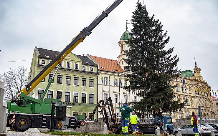 FOTO: Na náměstí Svobody v Teplicích už stojí Vánoční strom! Rozsvítí se první adventní neděli